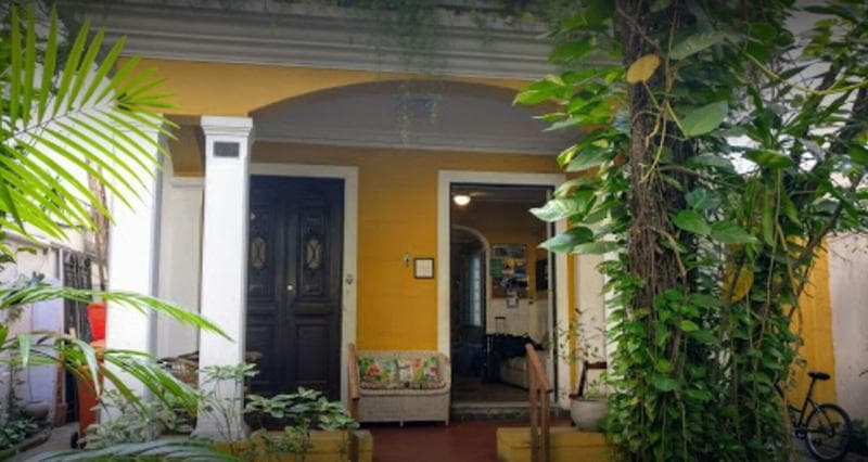 The Mango Tree 3