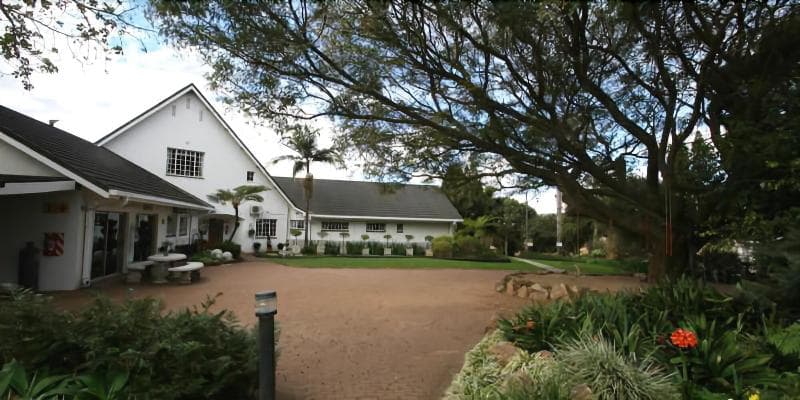 Dusk To Dawn Guesthouse 4