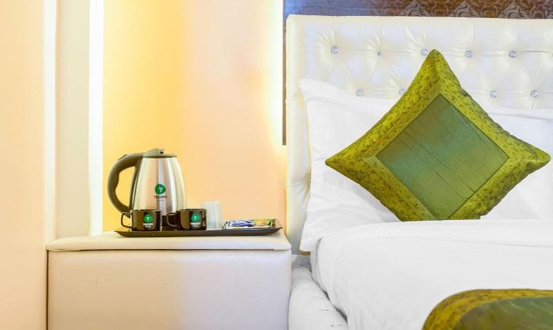 Treebo Naunidh Suites main