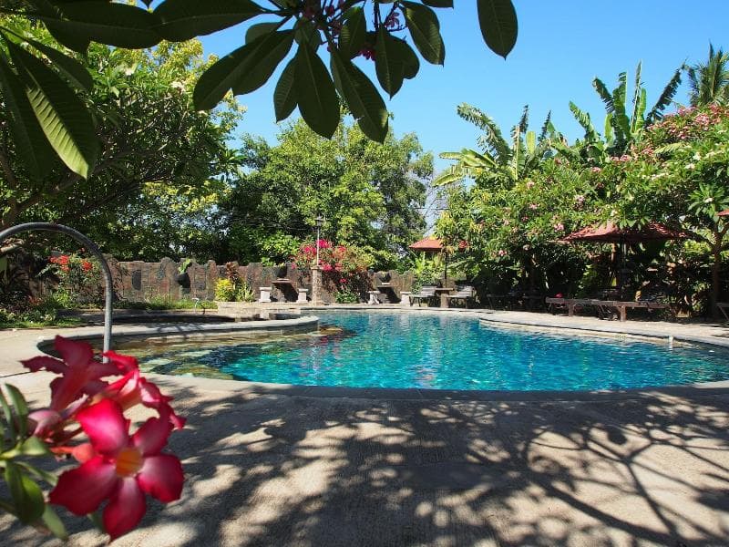 Rini Hotel 5