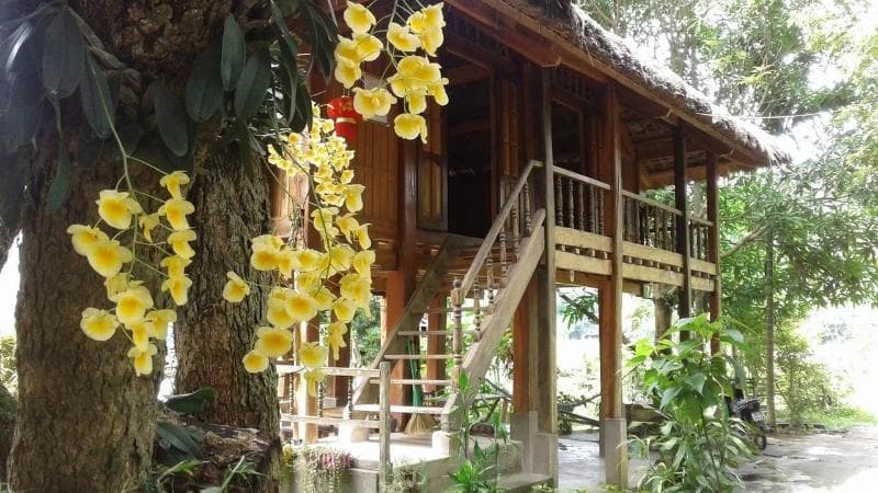 Linh Soi Homestay Hostel photo 1
