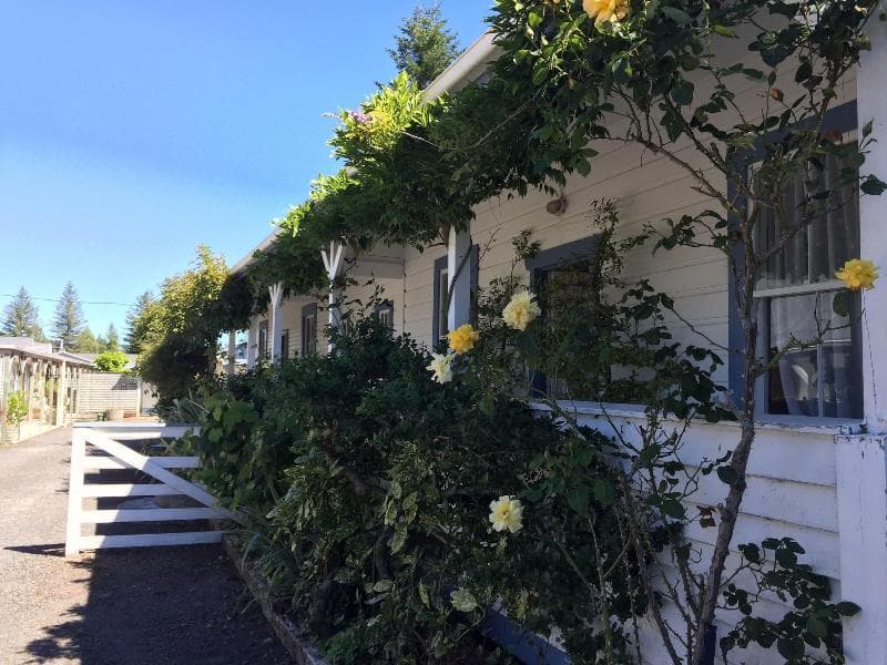 Tongariro Crossing Lodge 5