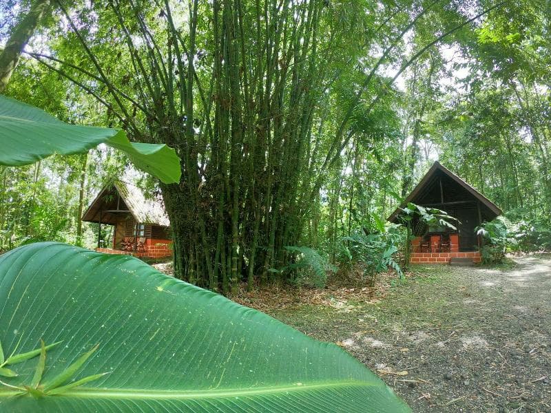 Arenal Oasis 5