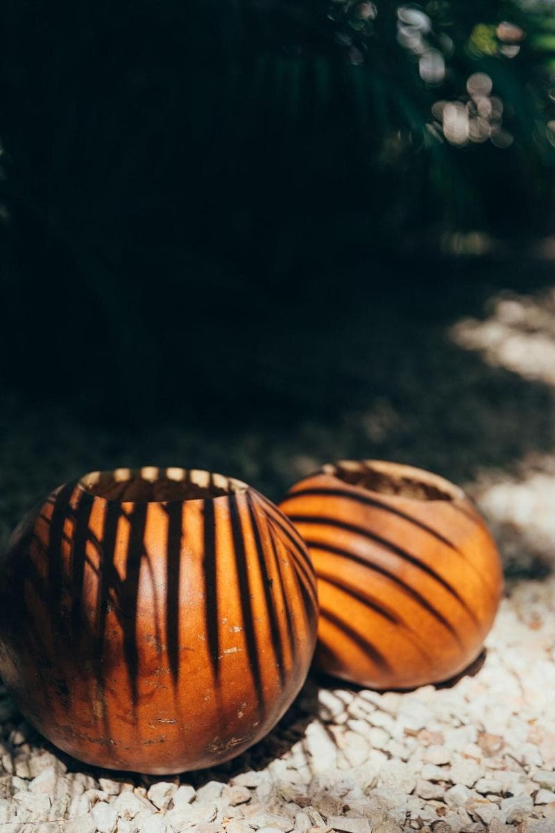 Encantada Tulum 5