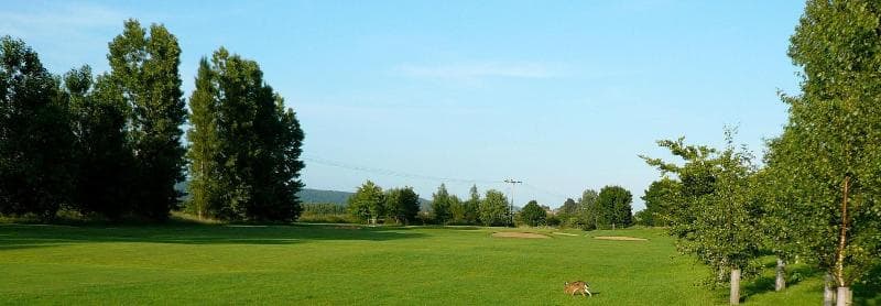 Mendip Spring Golf Club 3