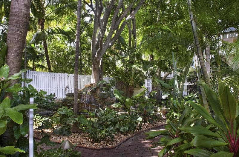 Island City House Hotel 3