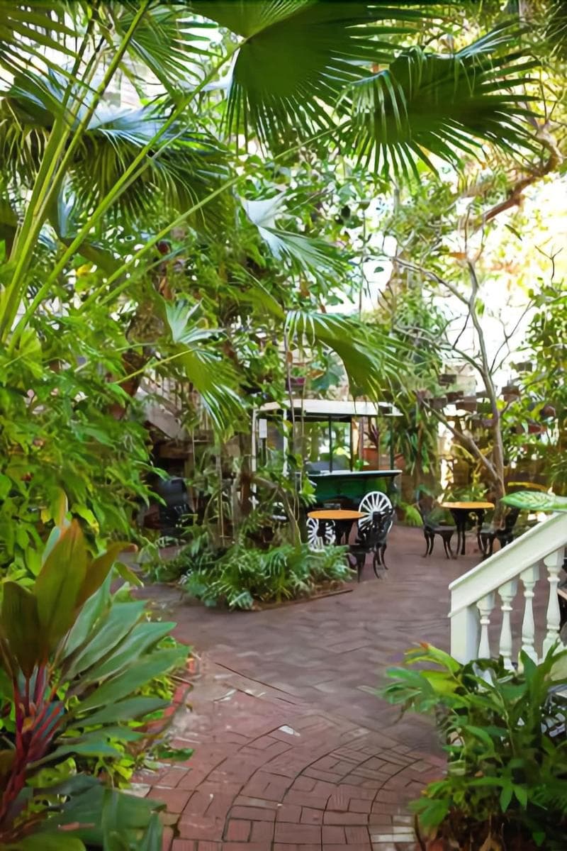 Island City House Hotel 4