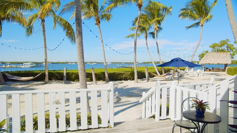 Coconut Palm Inn 3