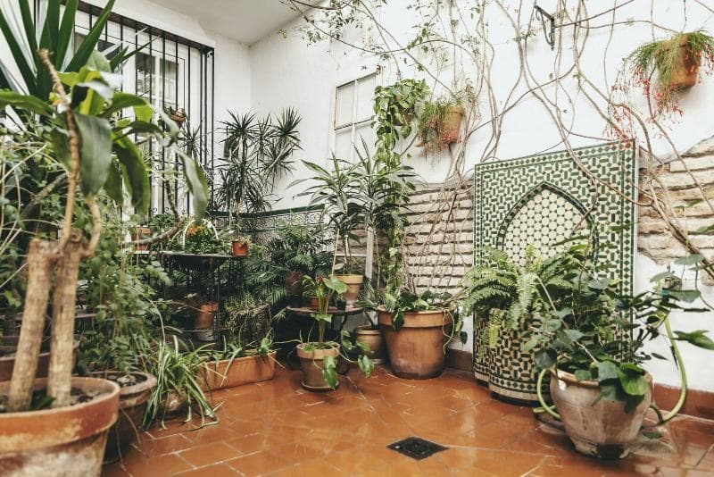 El Riad Andaluz 4