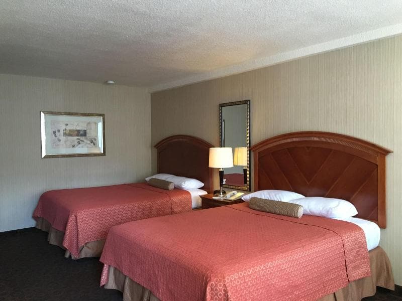 Royal Pacific Motor Inn 5
