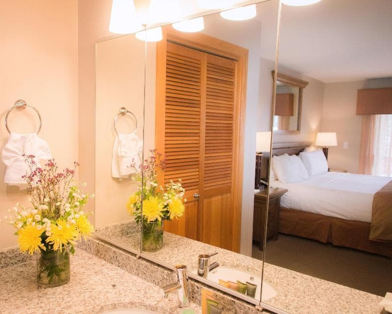 Raintree's Park Plaza Park City 3