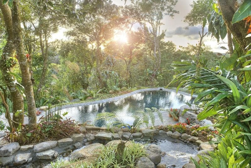 Monteverde Lodge & Gardens 2
