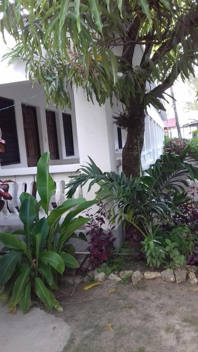 Roots Bamboo Beach Resort photo 1