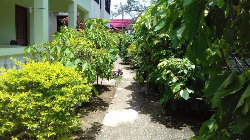Roots Bamboo Beach Resort 5