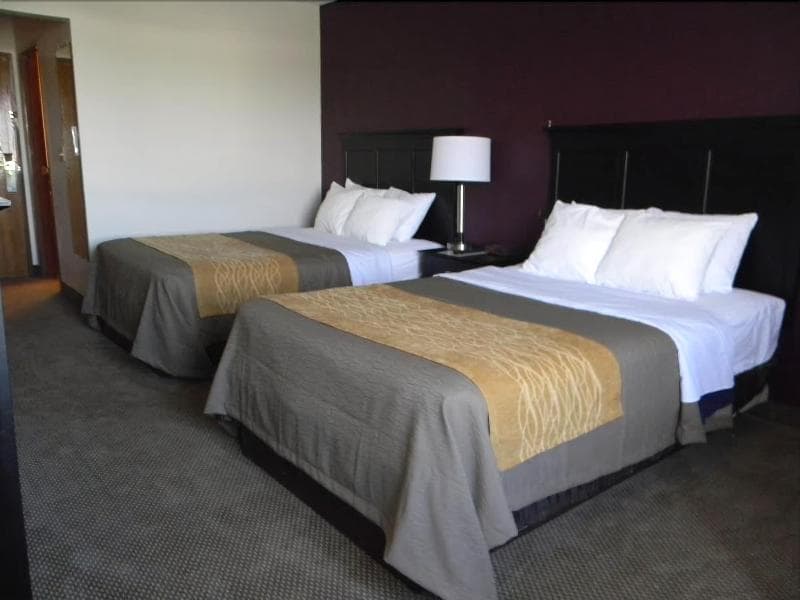 Comfort Inn 4