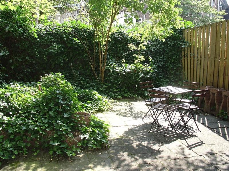 Blossoms City Hotel Amsterdam 5