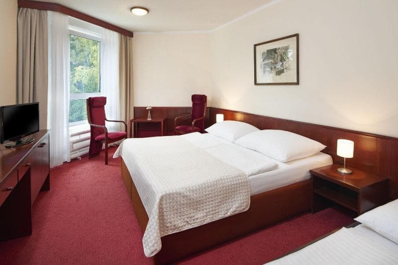Wellness Hotel Svornost 5