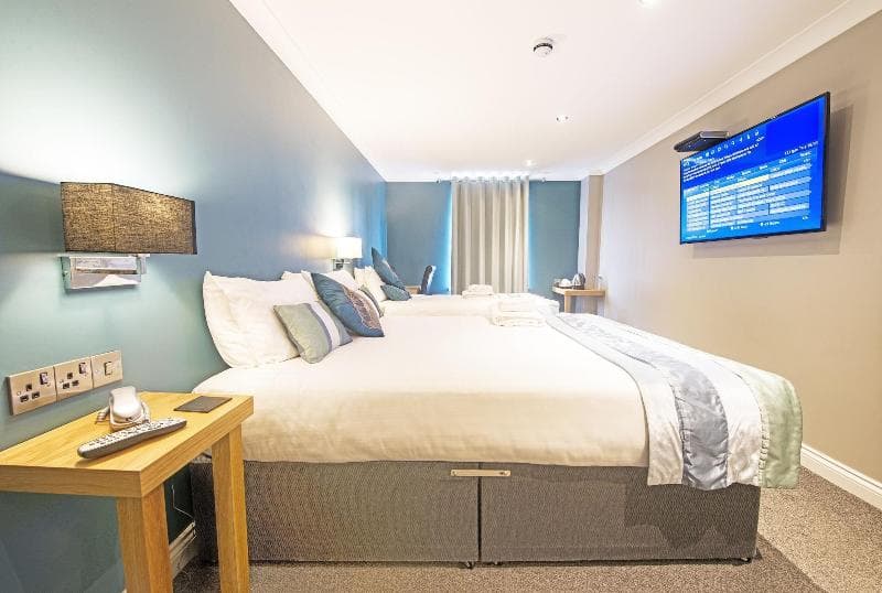 Dolphin Rooms 4