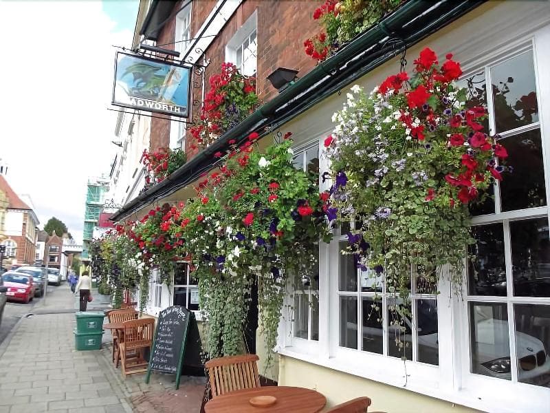 The Green Dragon 5