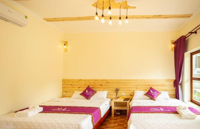 Tam Coc Lavender Homestay 3