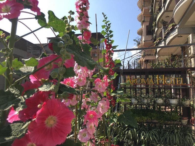 Sapa Aroma Hotel 4