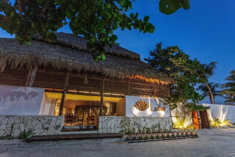 Lotus Beach Hotel - Adults Only 5