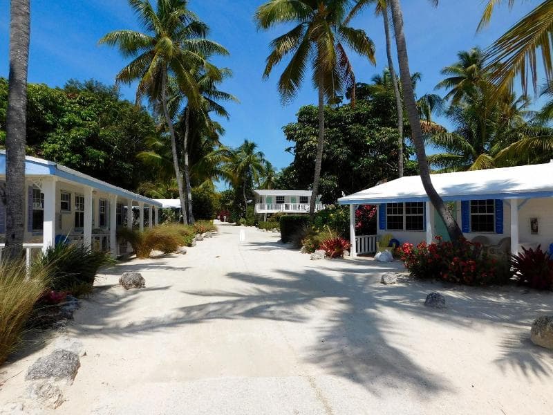 Pines & Palms Resort 3