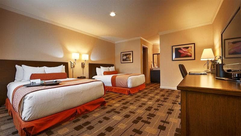 The Zen Hotel 3