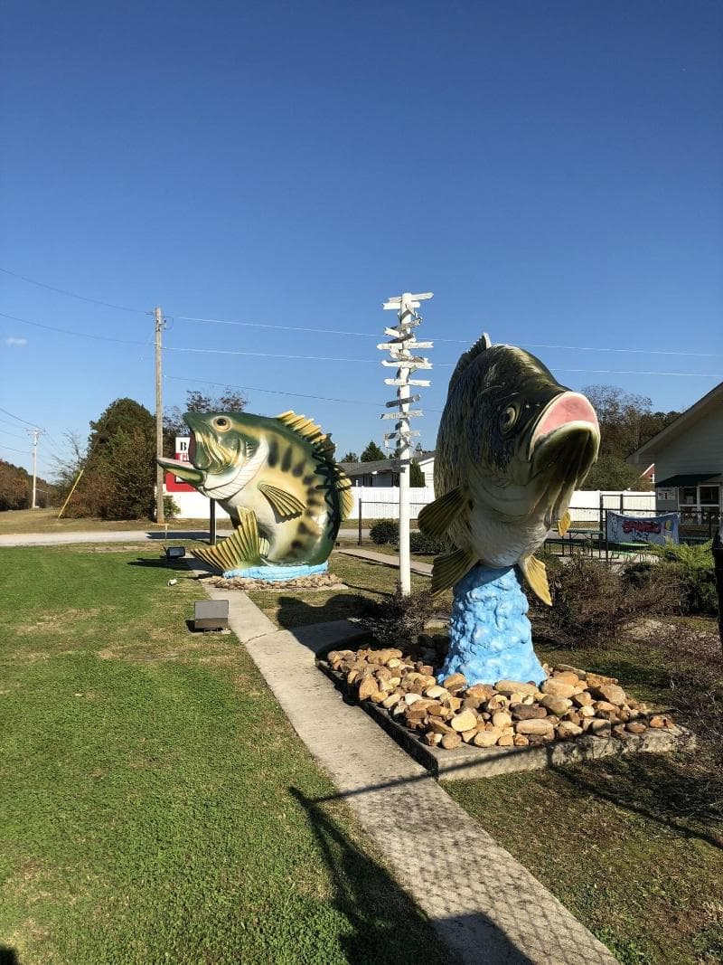 Weiss Lake Lodge 5