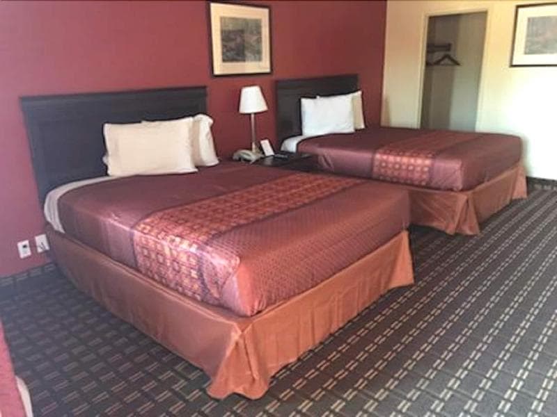 Palace Motel 4