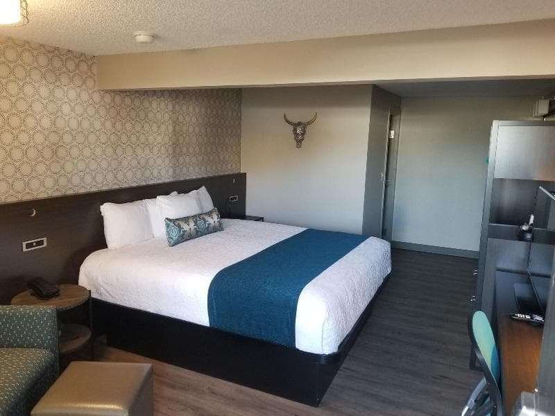 The Hotel Y 3
