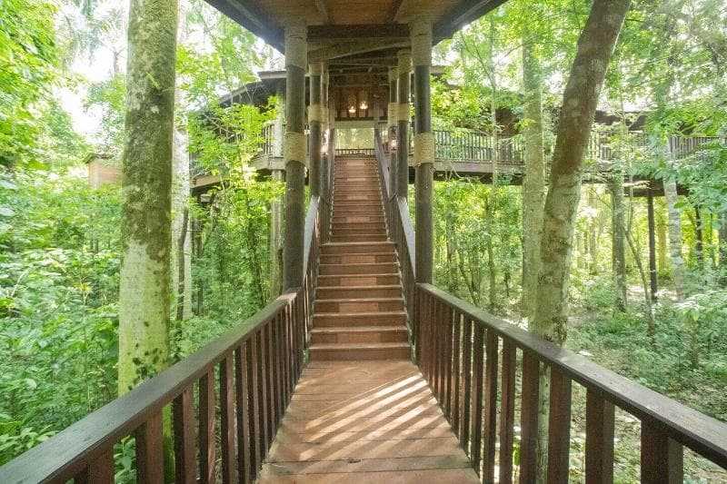 Platón Eco Lodge 5