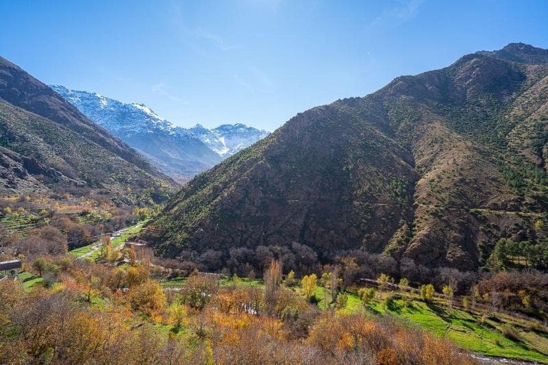 Berber Family Lodge (Adults Only) 5