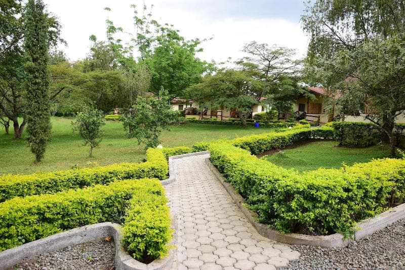 Meru View Lodge 4