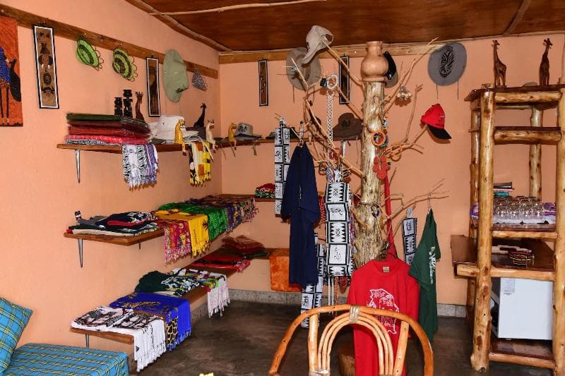 Meru View Lodge 5