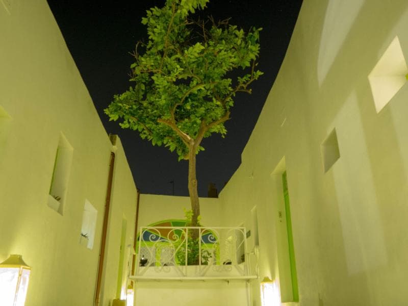 Lemon Tree Bed & Breakfast By Cx Collection 3