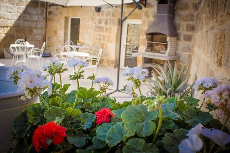 Lemon Tree Bed & Breakfast By Cx Collection 4