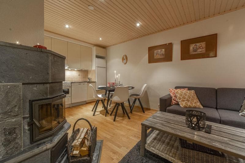 Kuukkeli Apartments Suite photo 1
