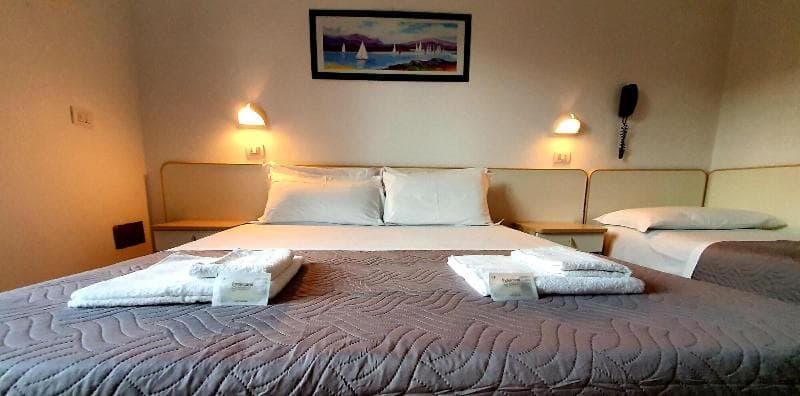Lively Hotel 4