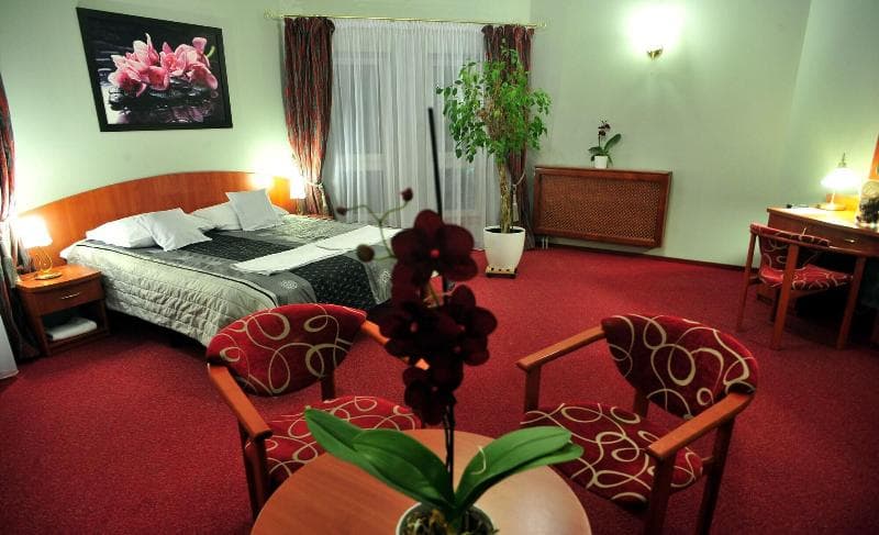 Hotel Zlote Deby 5
