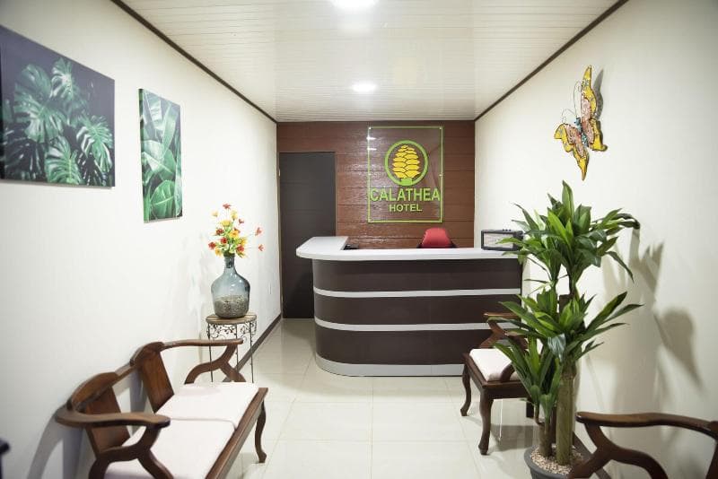 Suites & Villas Calathea 4