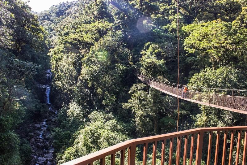 Boquete Tree Trek Mountain Resort photo 1