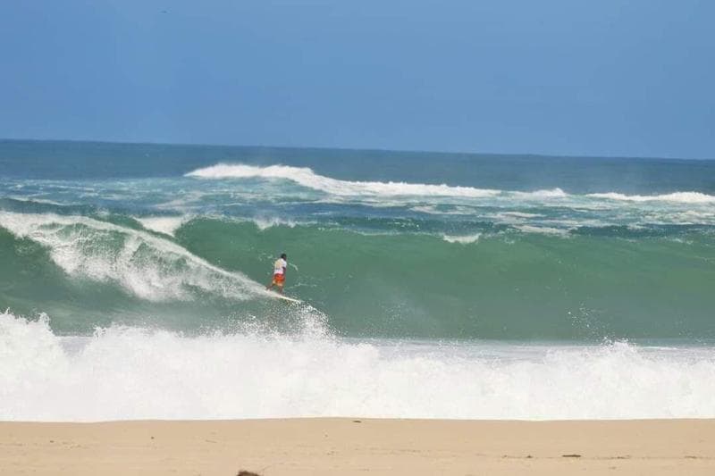 Longboard Paradise Suites 2