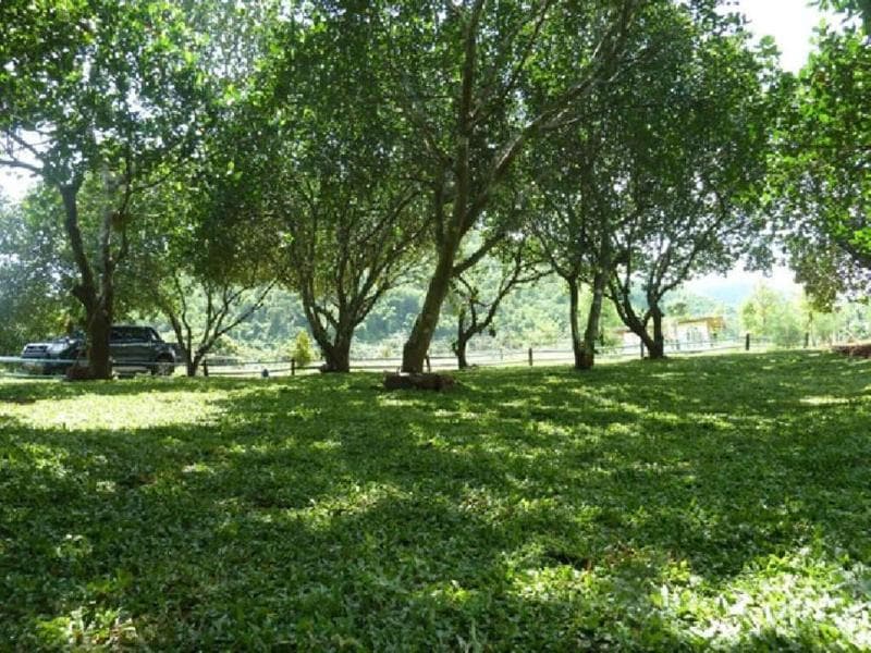 Porploen Hip Resort main