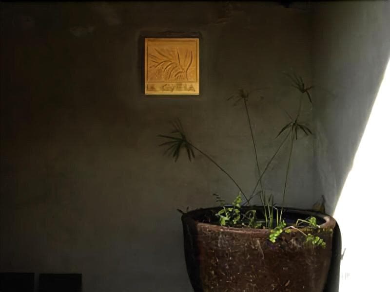 Hotel La Canela 5