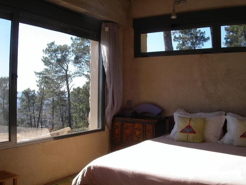 Hotel La Canela 4