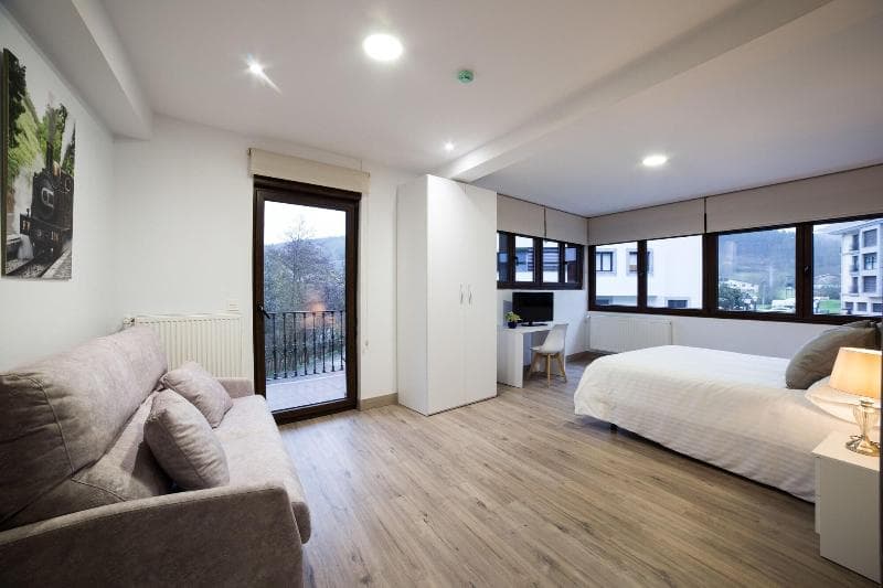 Petit Hotel Goierri 3