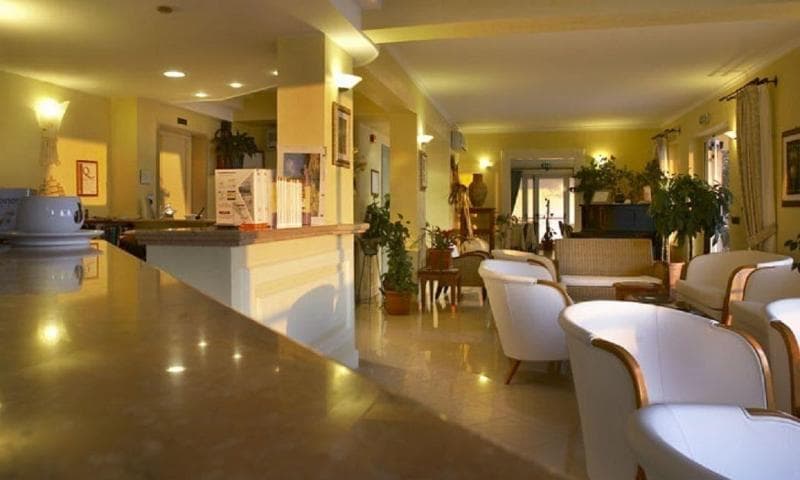 Lion's Hotel 4
