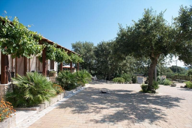 Red Rose Bed & Breakfast 4
