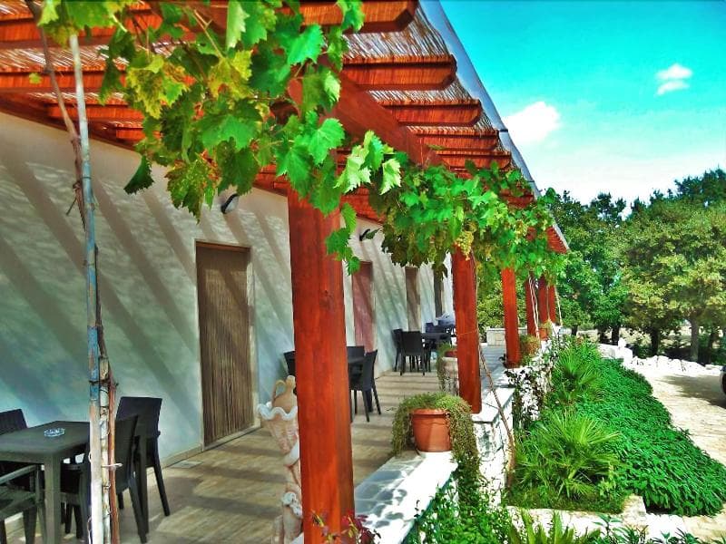 Red Rose Bed & Breakfast 5